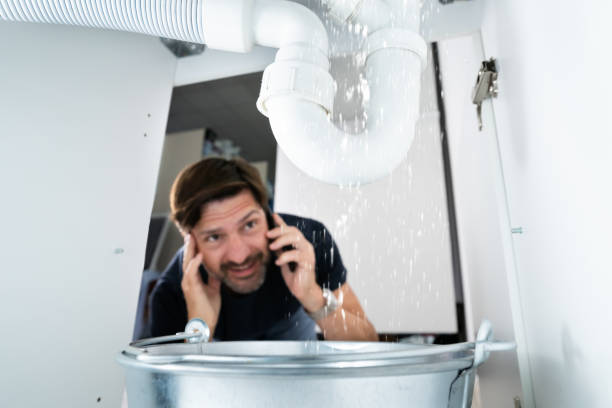 Best Pipe Repair Near Me  in Ladoga, IN
