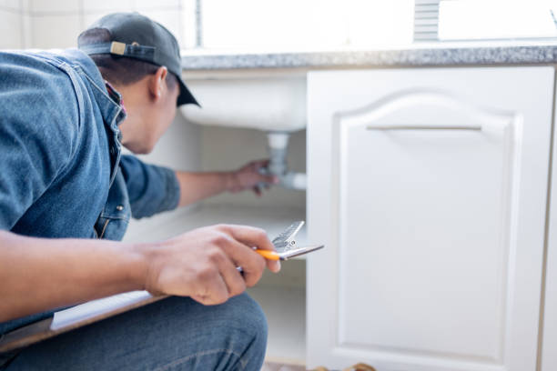 Best Plumbing Inspection Services  in Ladoga, IN