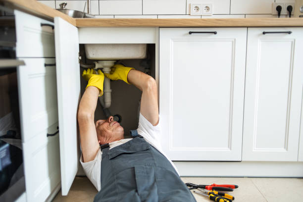 Best Same-Day Plumbing Service  in Ladoga, IN