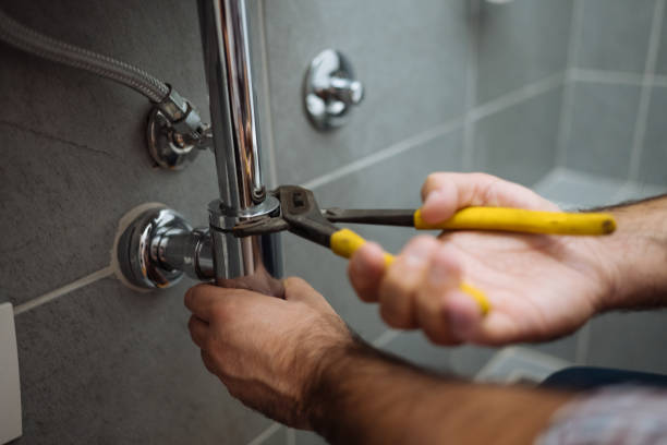 Best Drain Cleaning Services  in Ladoga, IN