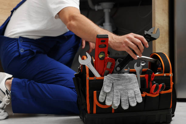 Best Local Plumber Services  in Ladoga, IN