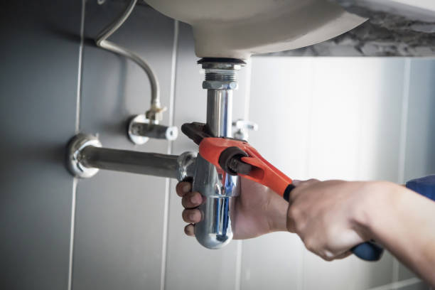 Best Plumbing Services Near Me  in Ladoga, IN