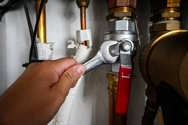 Best Emergency Plumbing Repair  in Ladoga, IN
